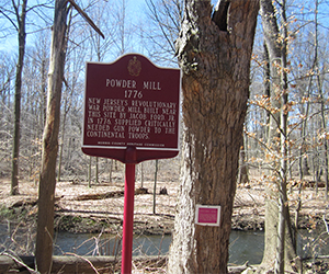 Jacob Ford Power Mill Site 